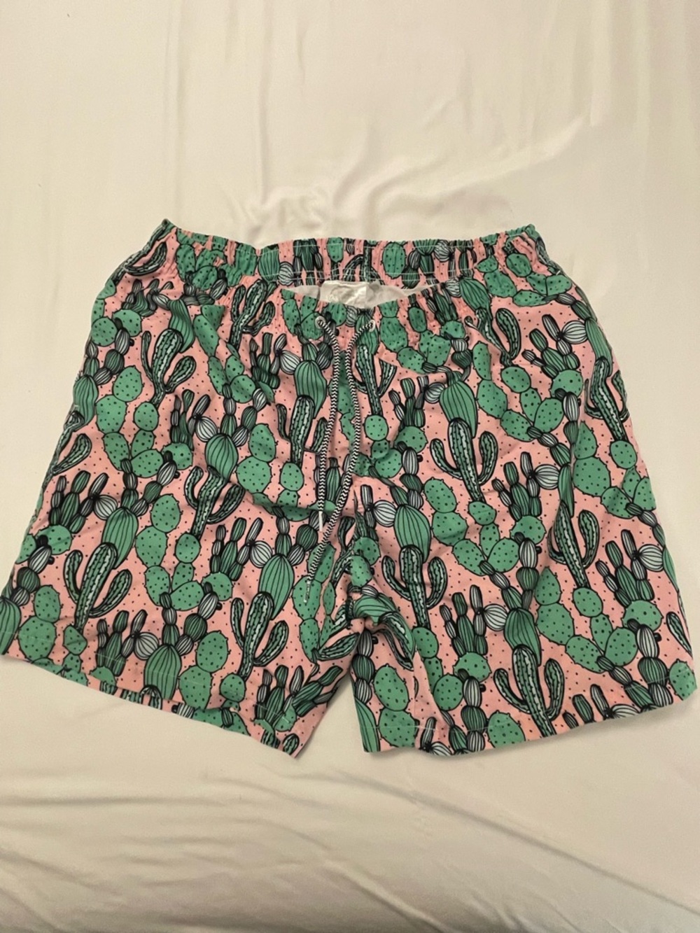 Boardies Men's Pink Cactus Print Swim Shorts